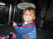 2008-10-03 19-59-47_0144